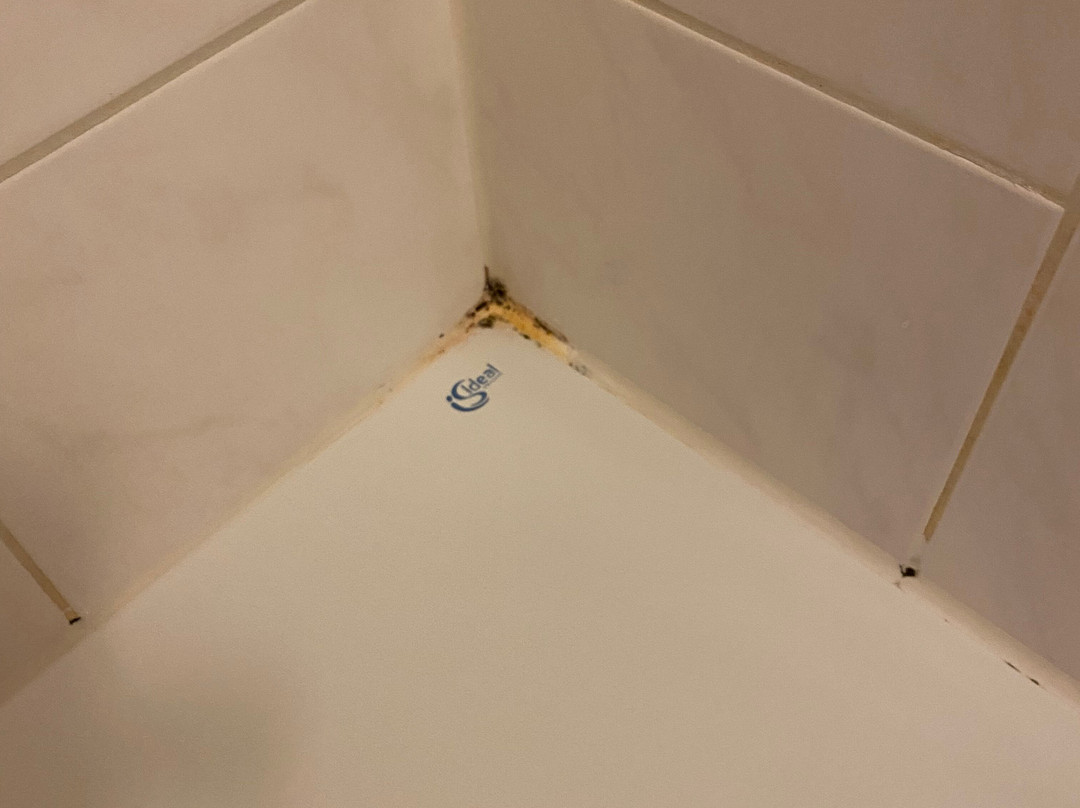 Seehotel zur Post主图