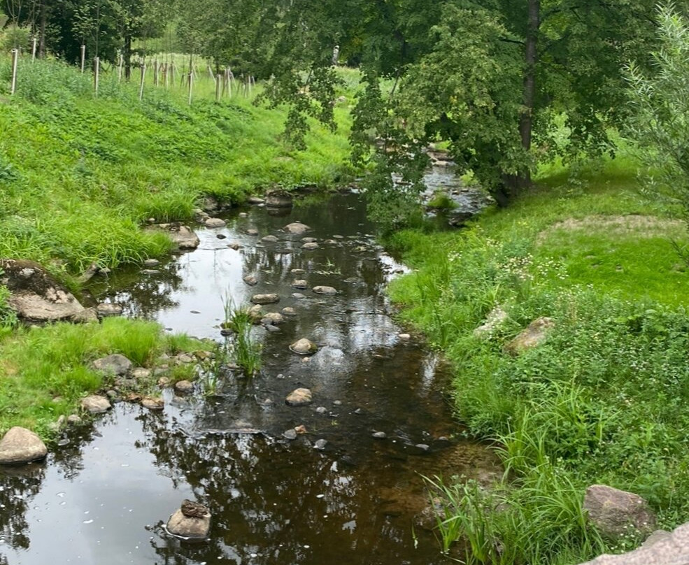 Ruinny Most-Lomonosov必去景点