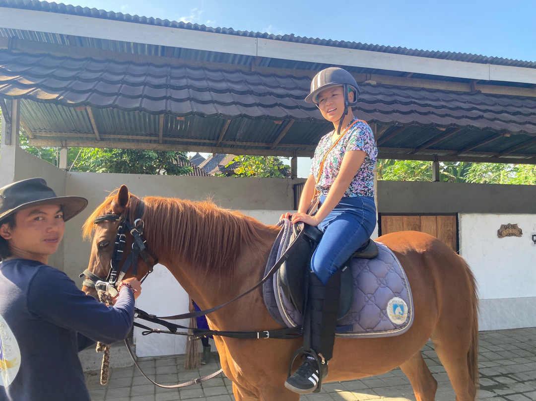 Ubud Horse Stables-德格拉朗必去景点