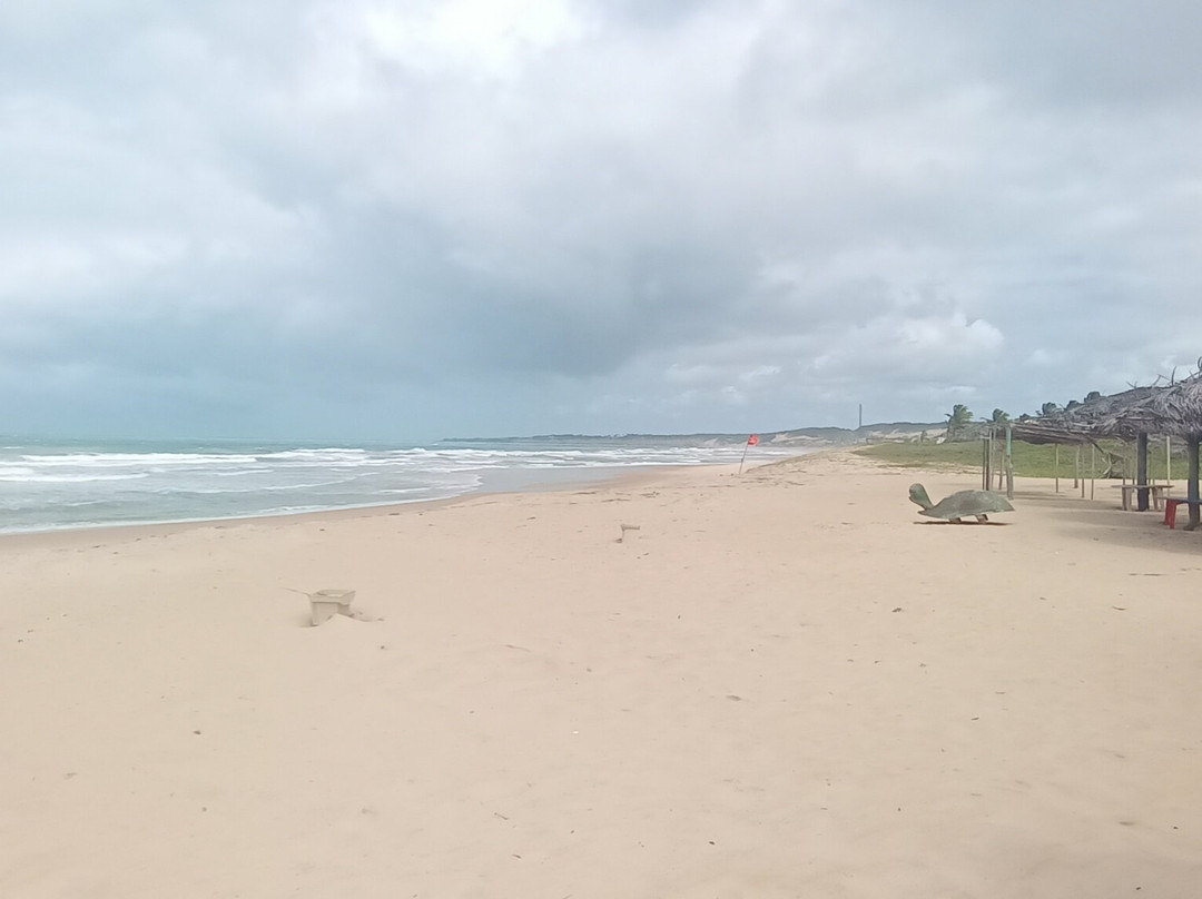 Praia de Búzios-Natal必去景点