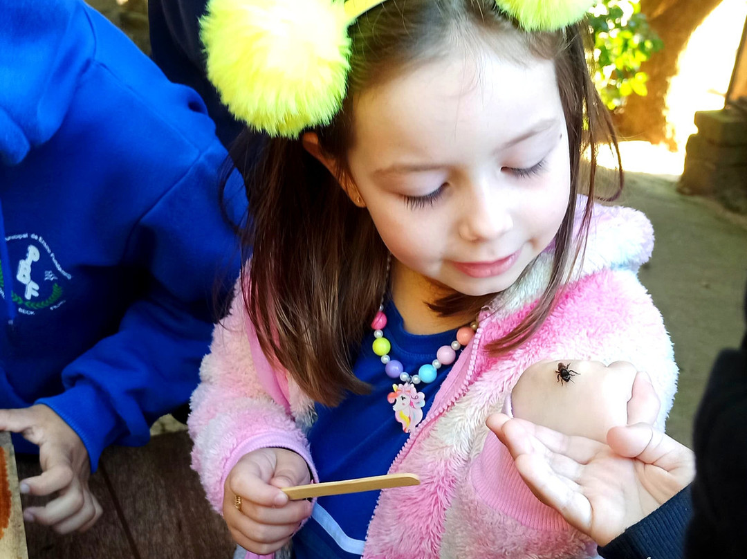 Experiências Da Colônia-Nova Petropolis必去景点