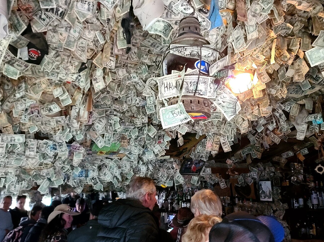 Salty Dawg Saloon-荷马必去景点