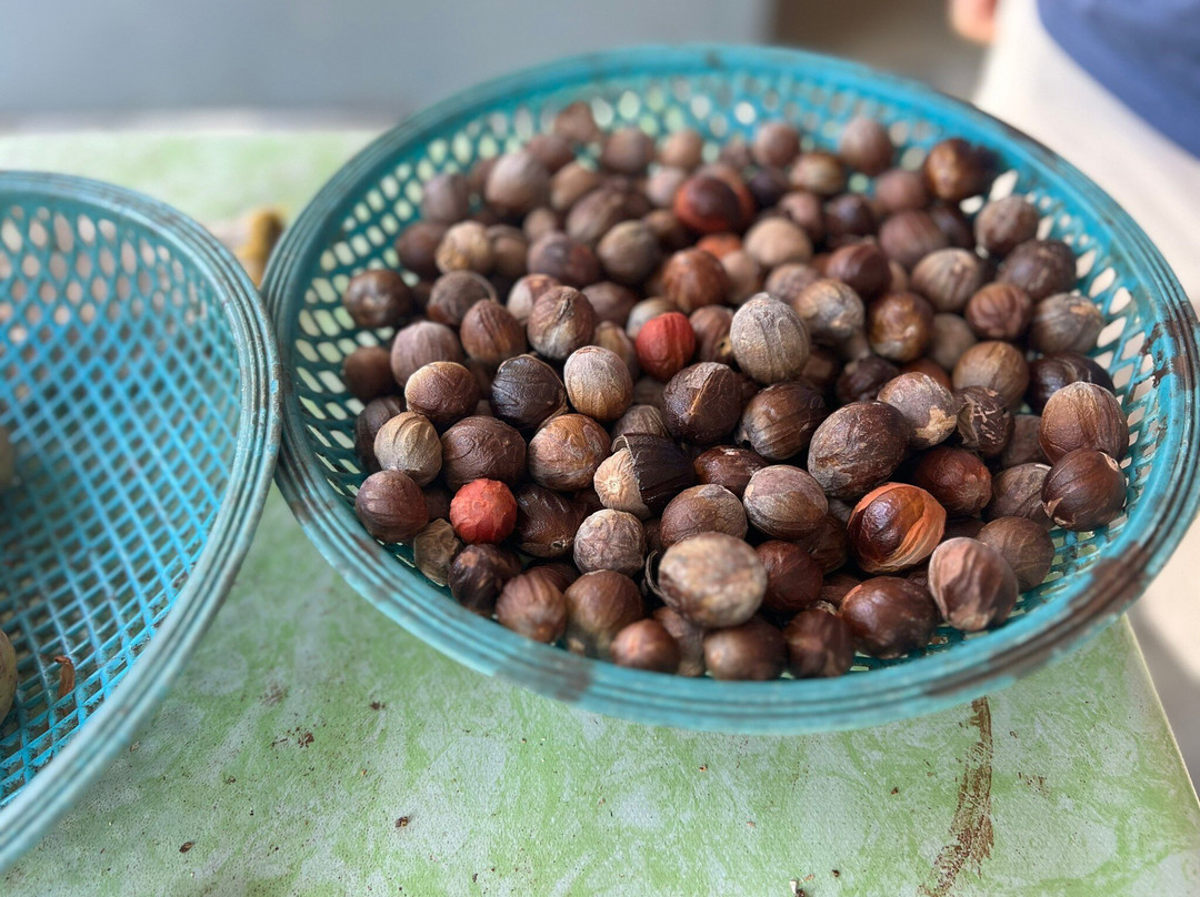 Ghee Hup Nutmeg Factory-浮罗山背必去景点
