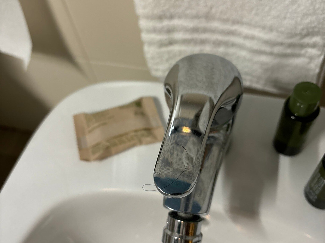 Antica Trattoria & Locanda Jole主图