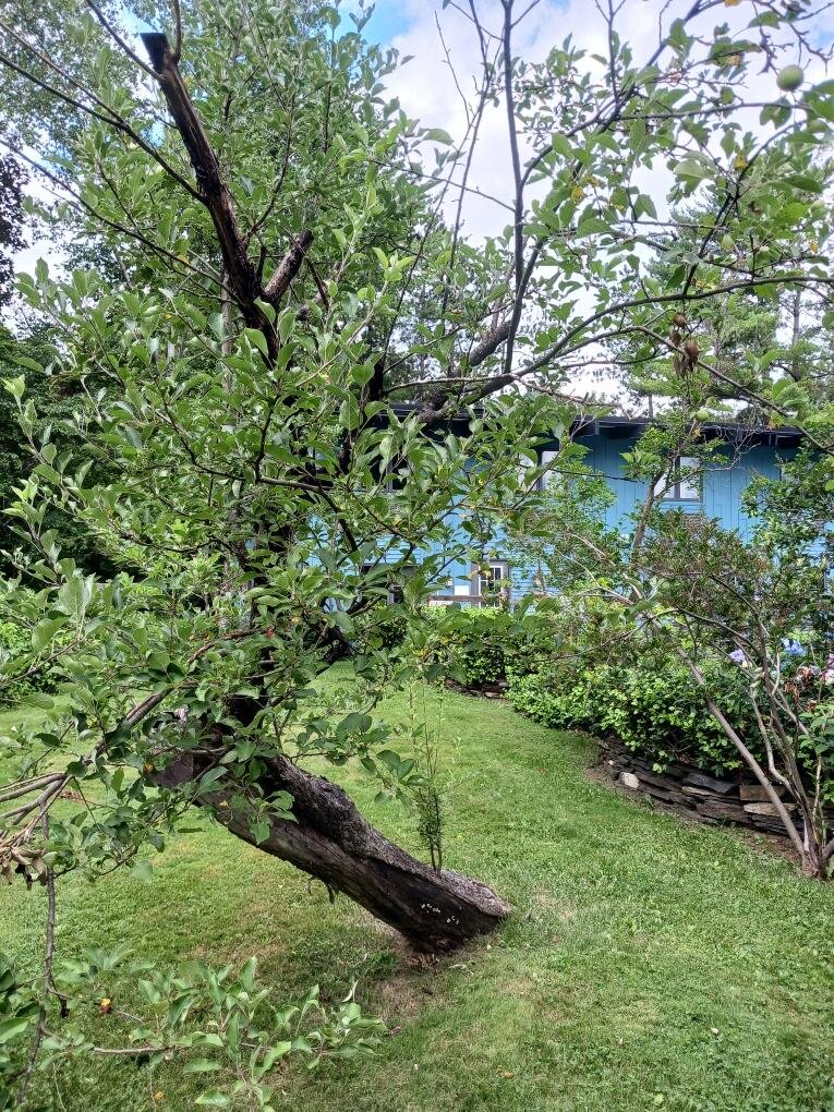 The Hotel Vervana At Bennington-浴室