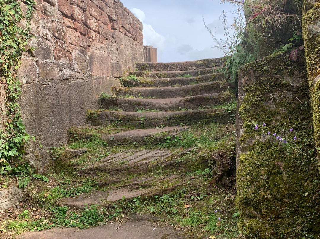 Burgruine Lindelbrunn-Vorderweidenthal必去景点