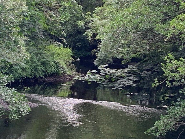 Camillaun Lodge and Angling Centre主图