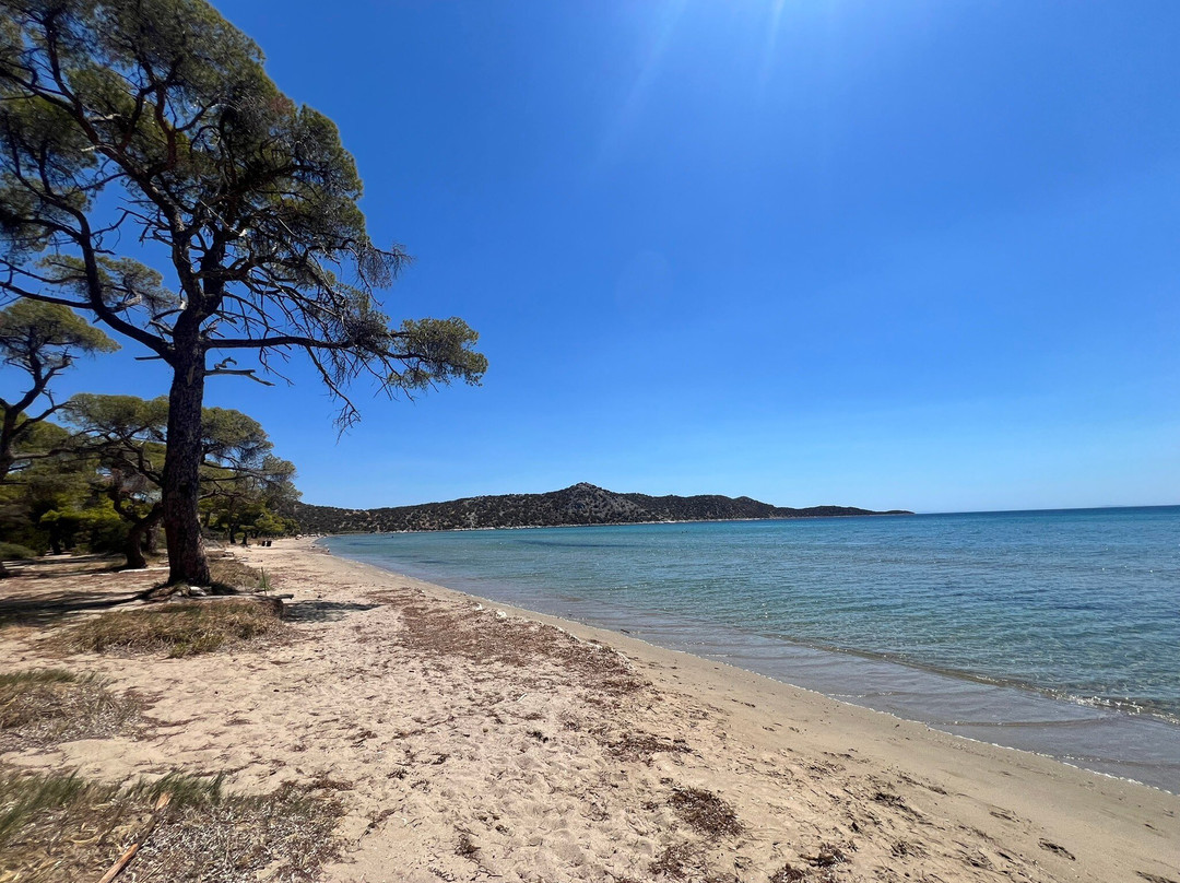 Schinias Beach-Marathon必去景点