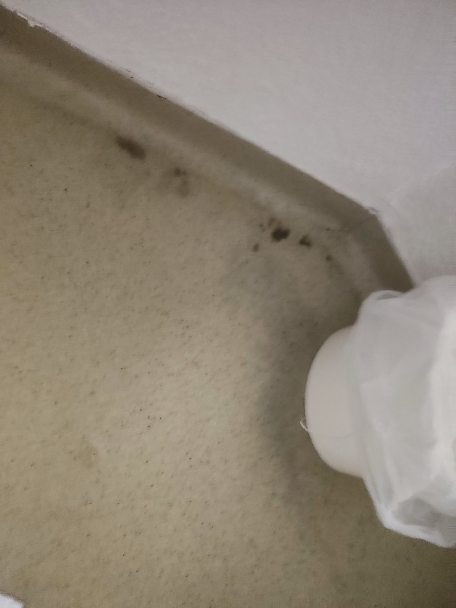 塔布宜必思快捷酒店-官方