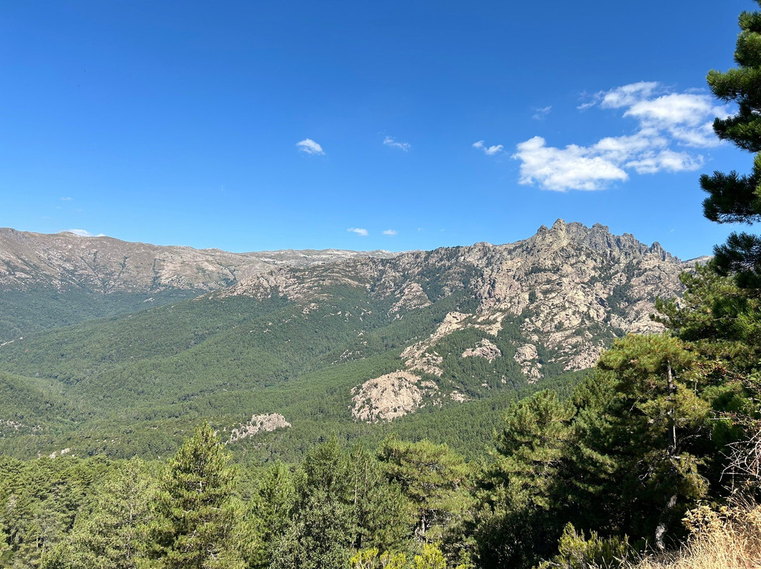 Aiguilles de Bavella (Bavella Needles)景点图片