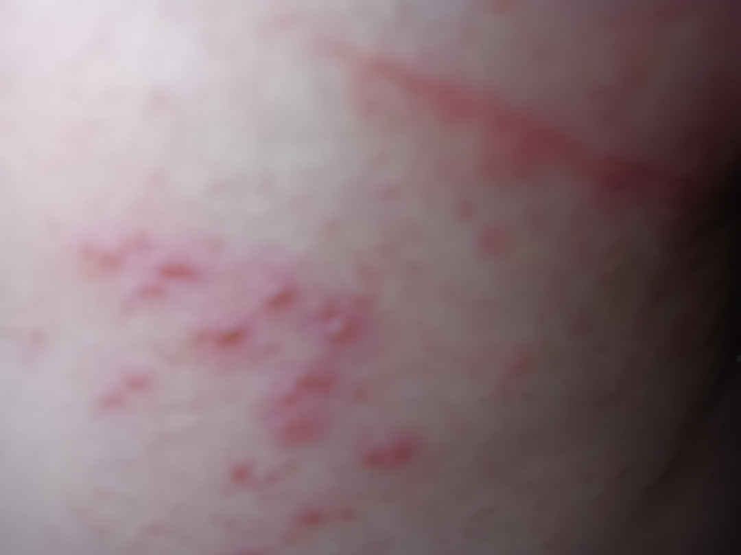 Red Roof Inn Detroit - Farmington Hills主图