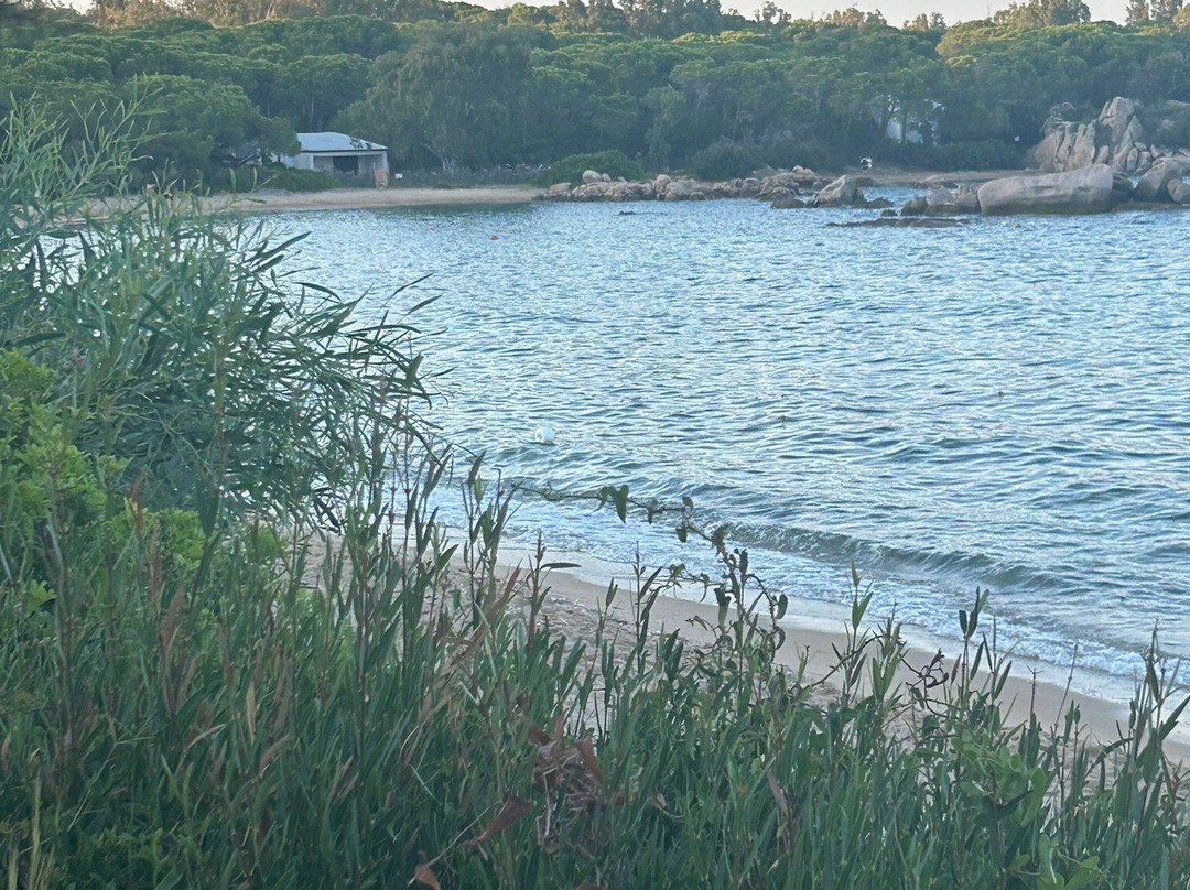 Stelle Marine Hotel & Resort主图