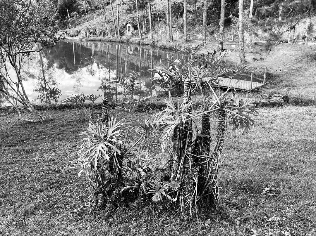 Pousada Villa Theodora主图