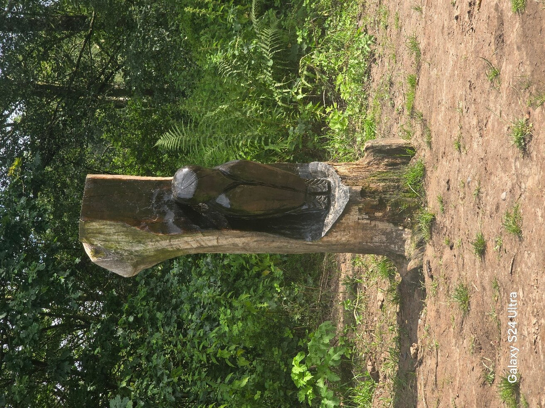 Brereton Heath Local Nature Reserve-Sandbach必去景点