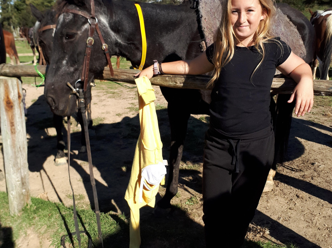 Karamu Trail Track-汉密尔顿必去景点