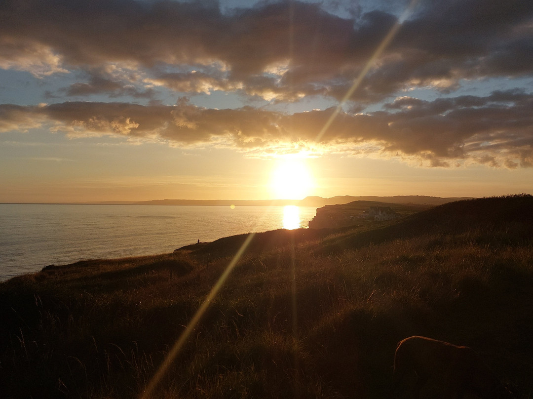 Chesil Beach Lodge主图