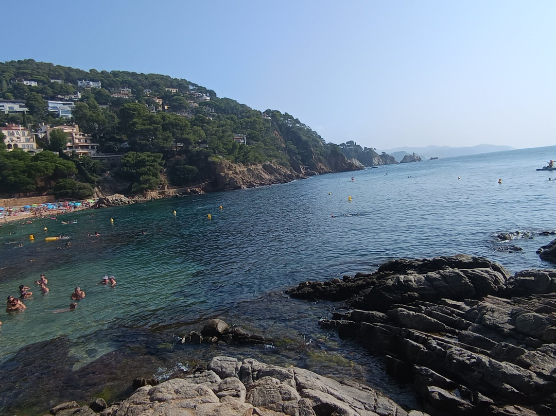 Cala de Sant Francesc景点图片