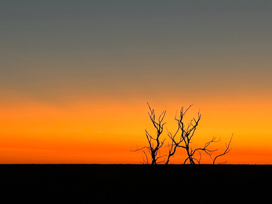 Desert Awakenings-尤拉拉必去景点