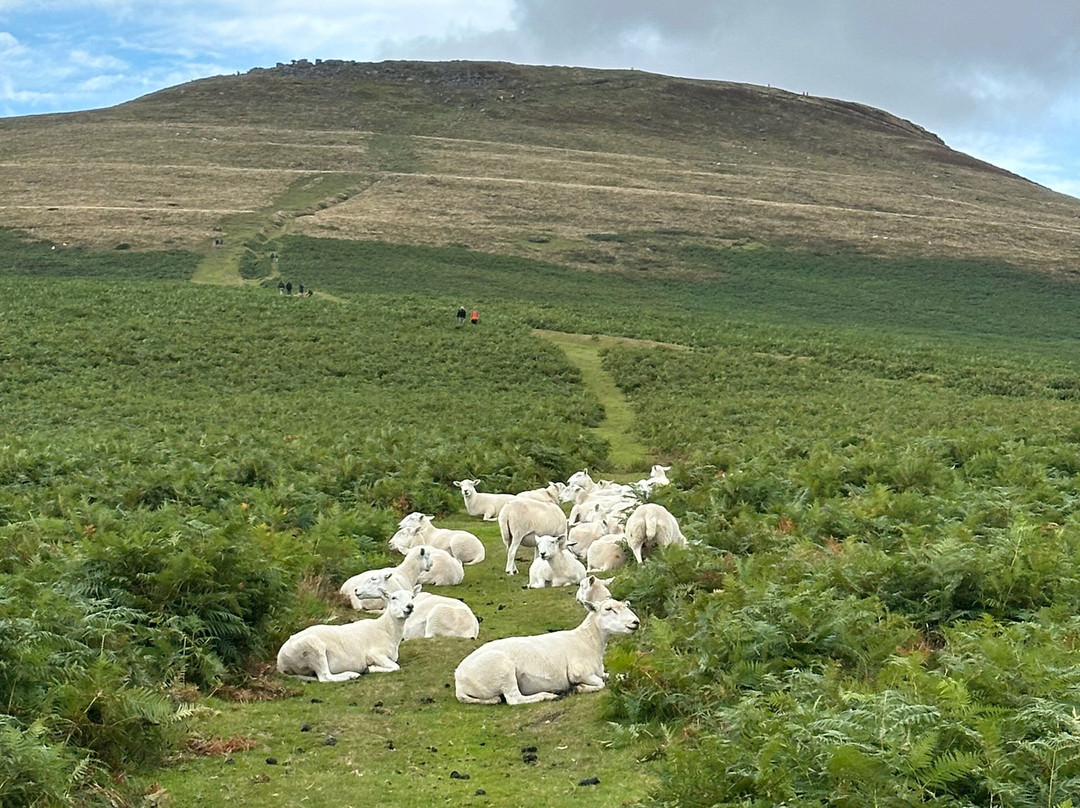 The Sugarloaf Vineyard景点图片