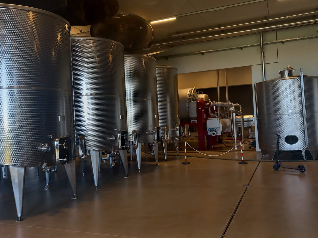 Cantina Leonildo Pieropan景点图片