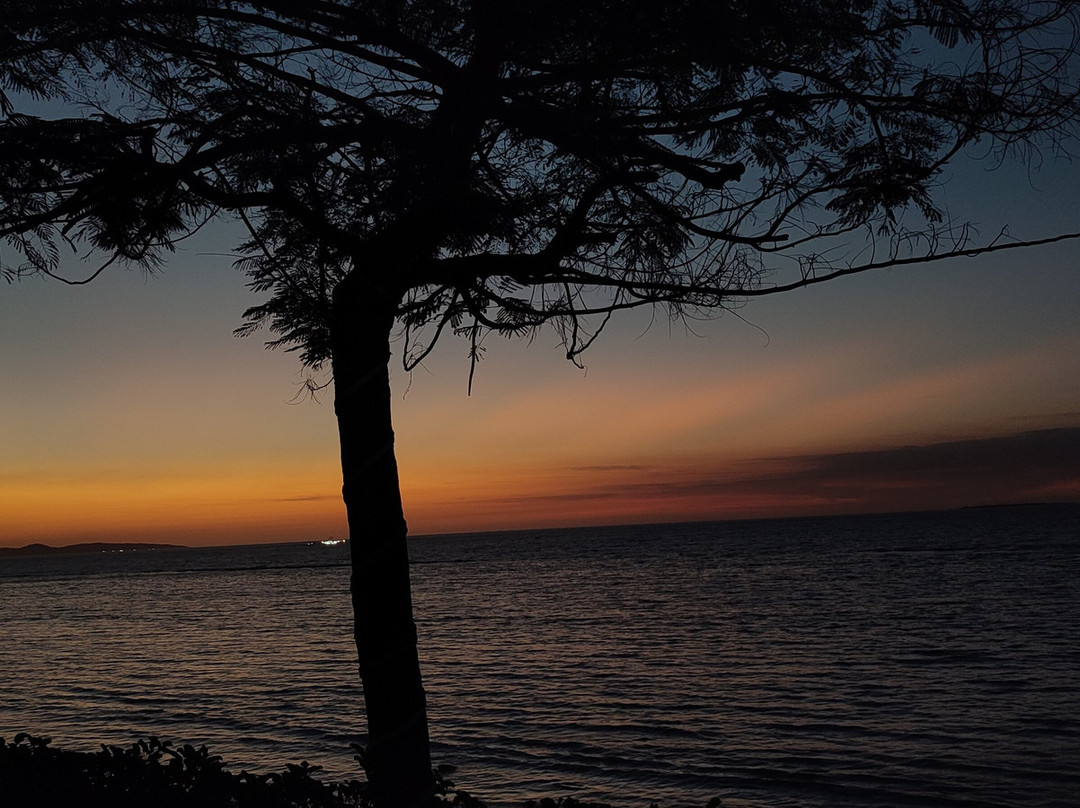 Swiss-Belcourt Kupang主图