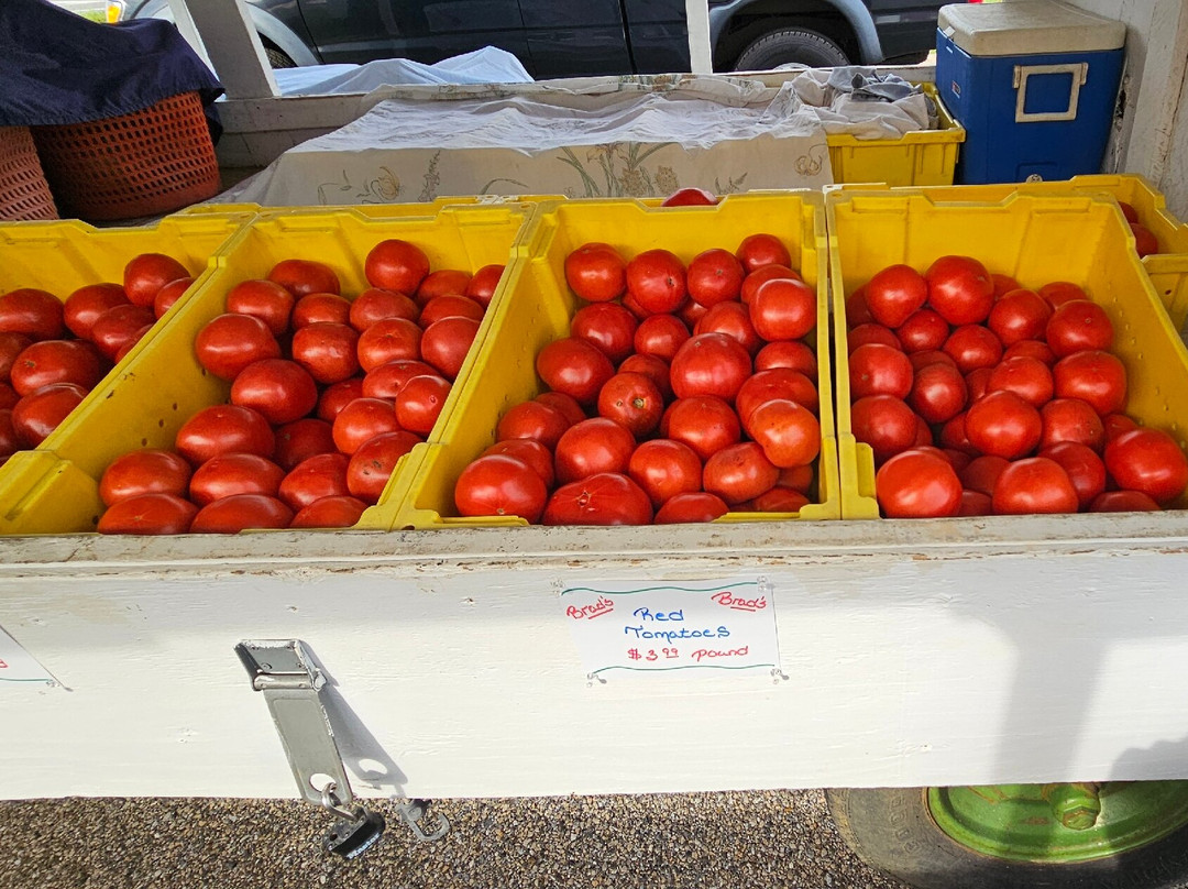 Brad's Produce-Churchville必去景点