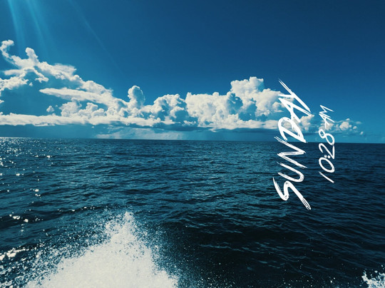 Reel ‘Em N Charters-泰碧岛必去景点