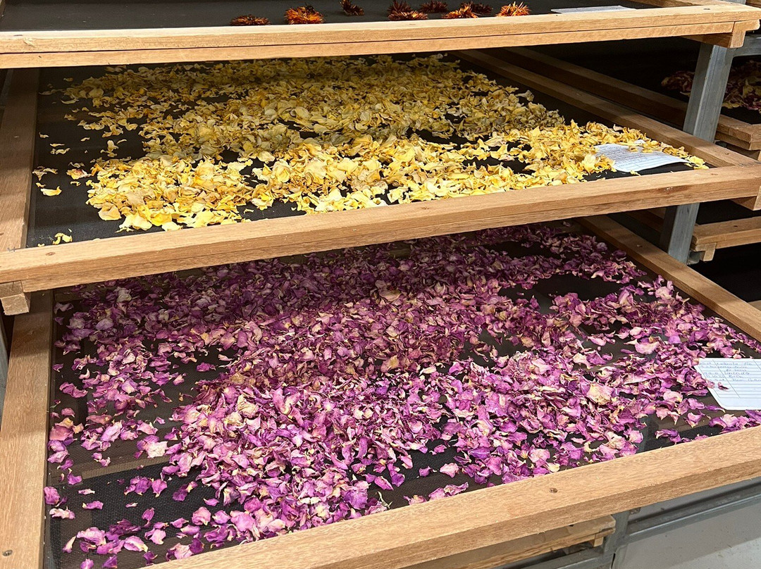 Juggle House Experiences-Zadows Landing必去景点