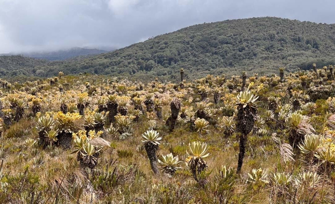 Puracé National Natural Park-Huila Department必去景点