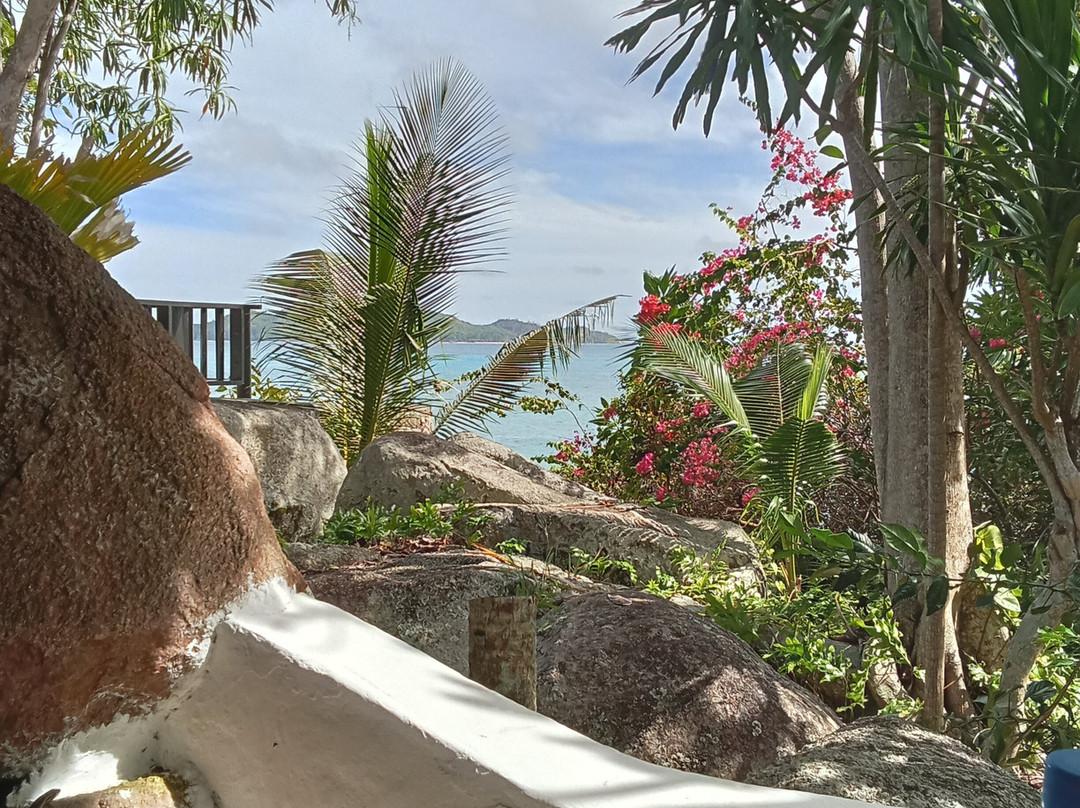 Chauve Souris Relais主图