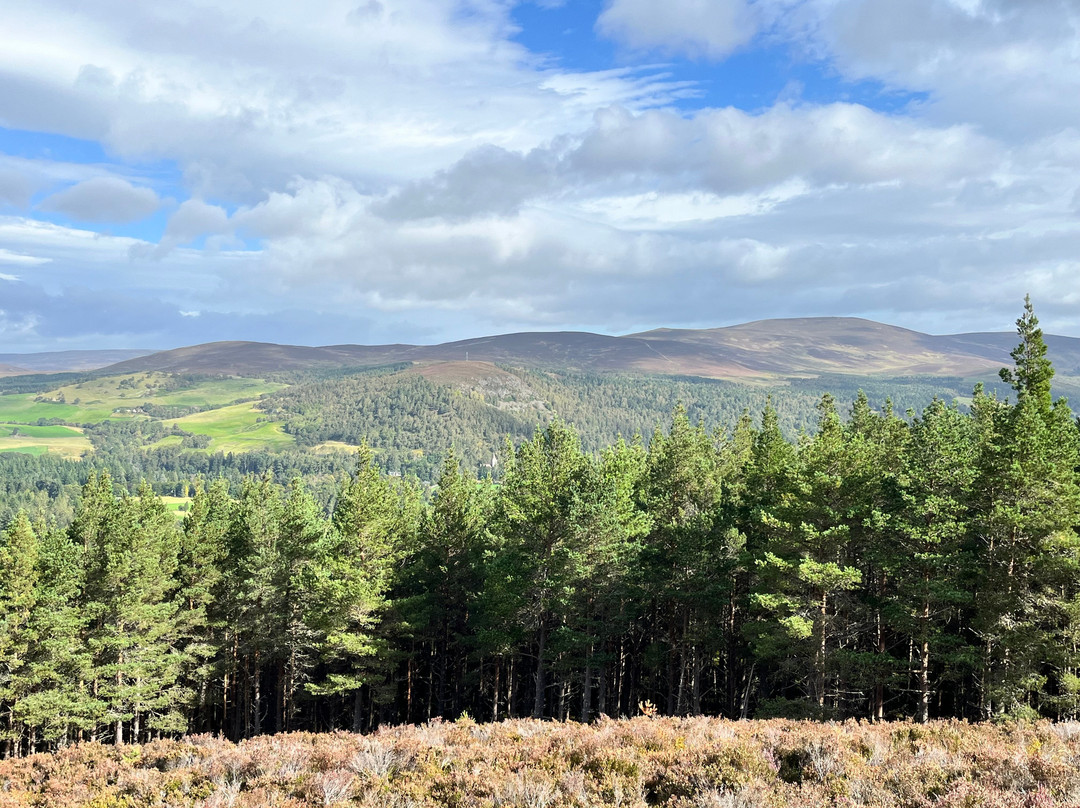 Prince Alberts Cairn-Crathie必去景点