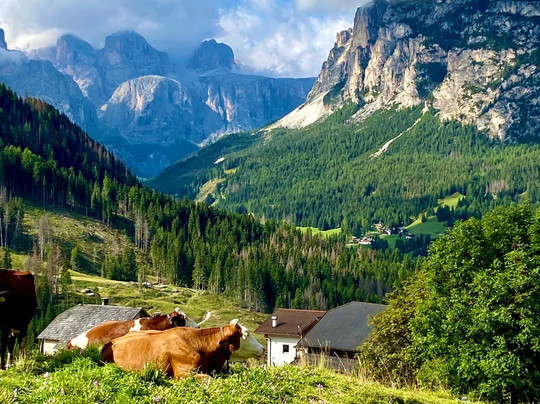 Sportony Mountain Lodges主图