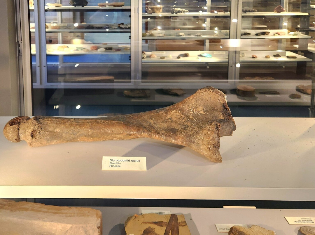 University of Queensland-布里斯班必去景点