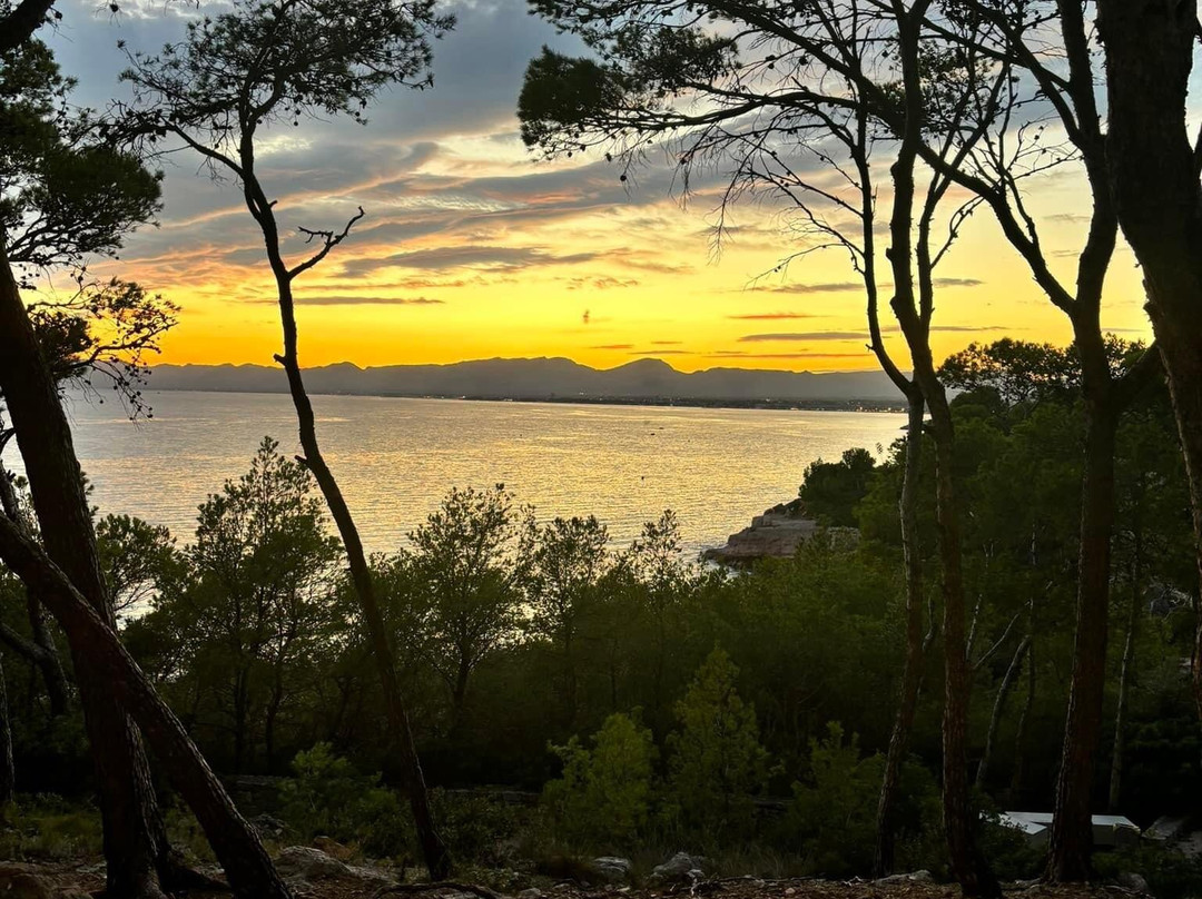 Cala Font景点图片