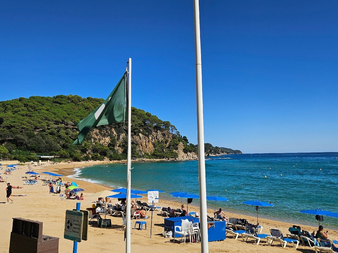 Playa de Santa Cristina景点图片