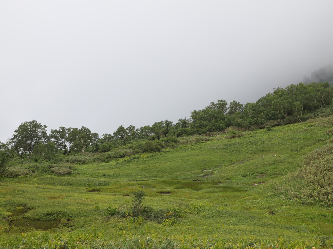 Tsugaike Natural Park景点图片
