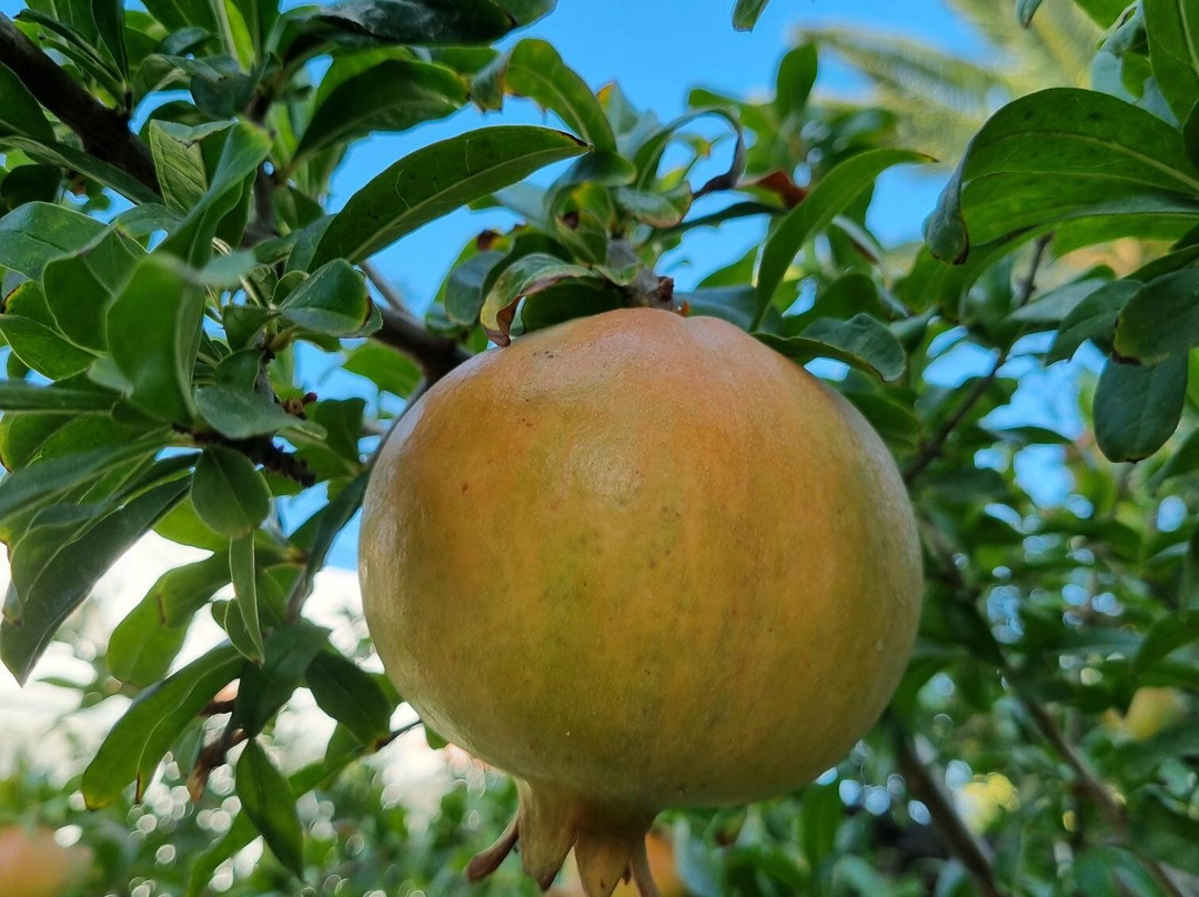 Hotel Romantica Apartments主图