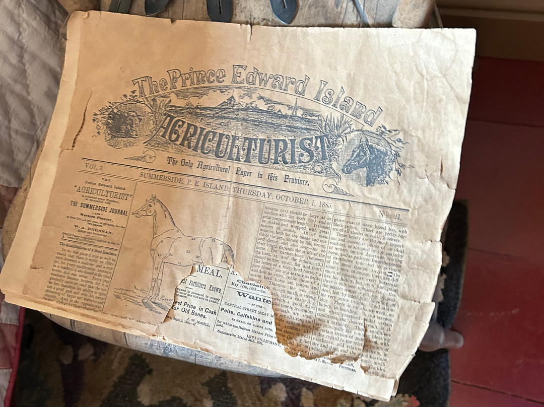 Lucy Maud Montgomery Birthplace-New London必去景点