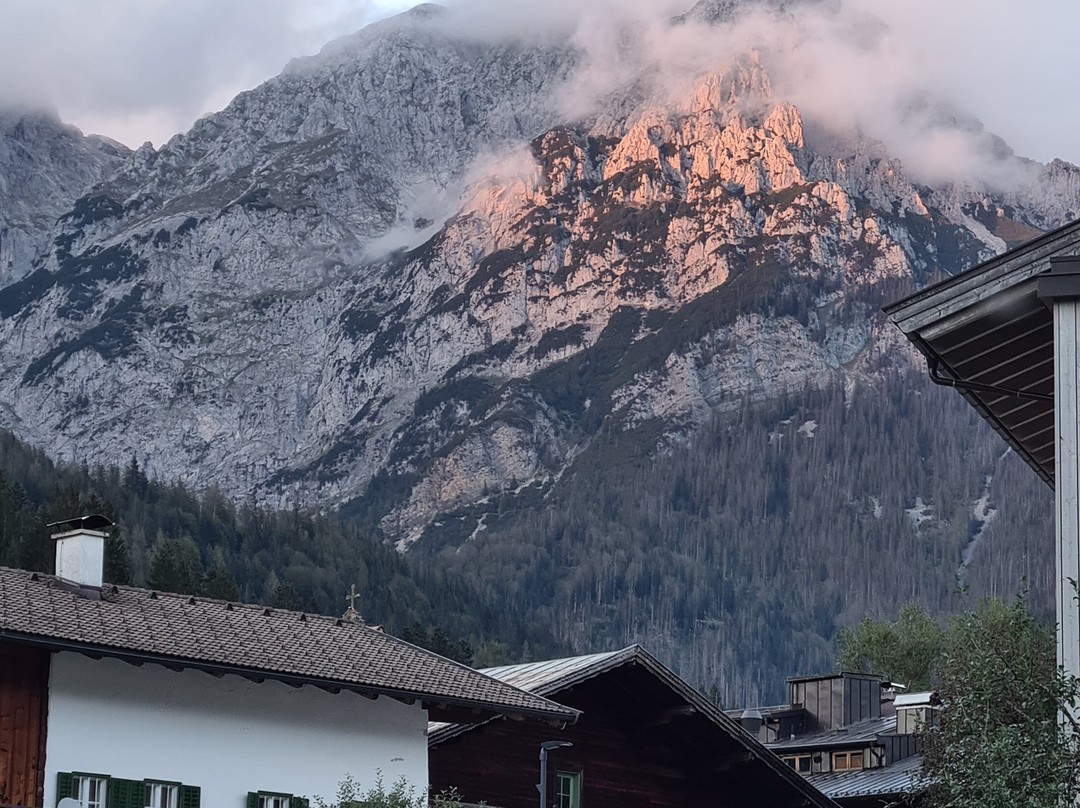 Garni Hotel Das Alpin主图