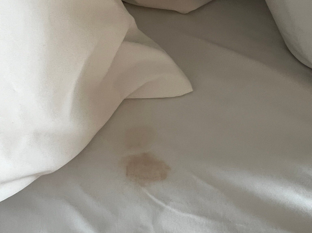 Holiday Inn Express Vermilion By IHG主图