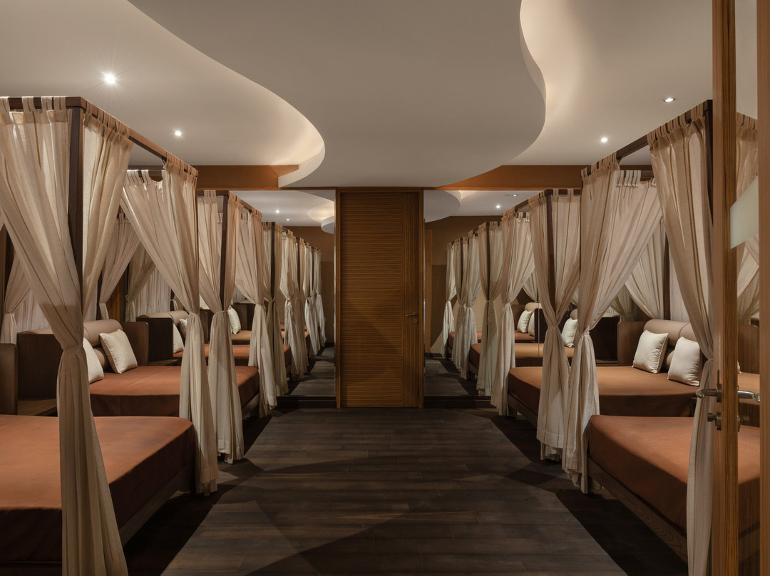 Meliá Desert Palm Member of Meliá Collection主图