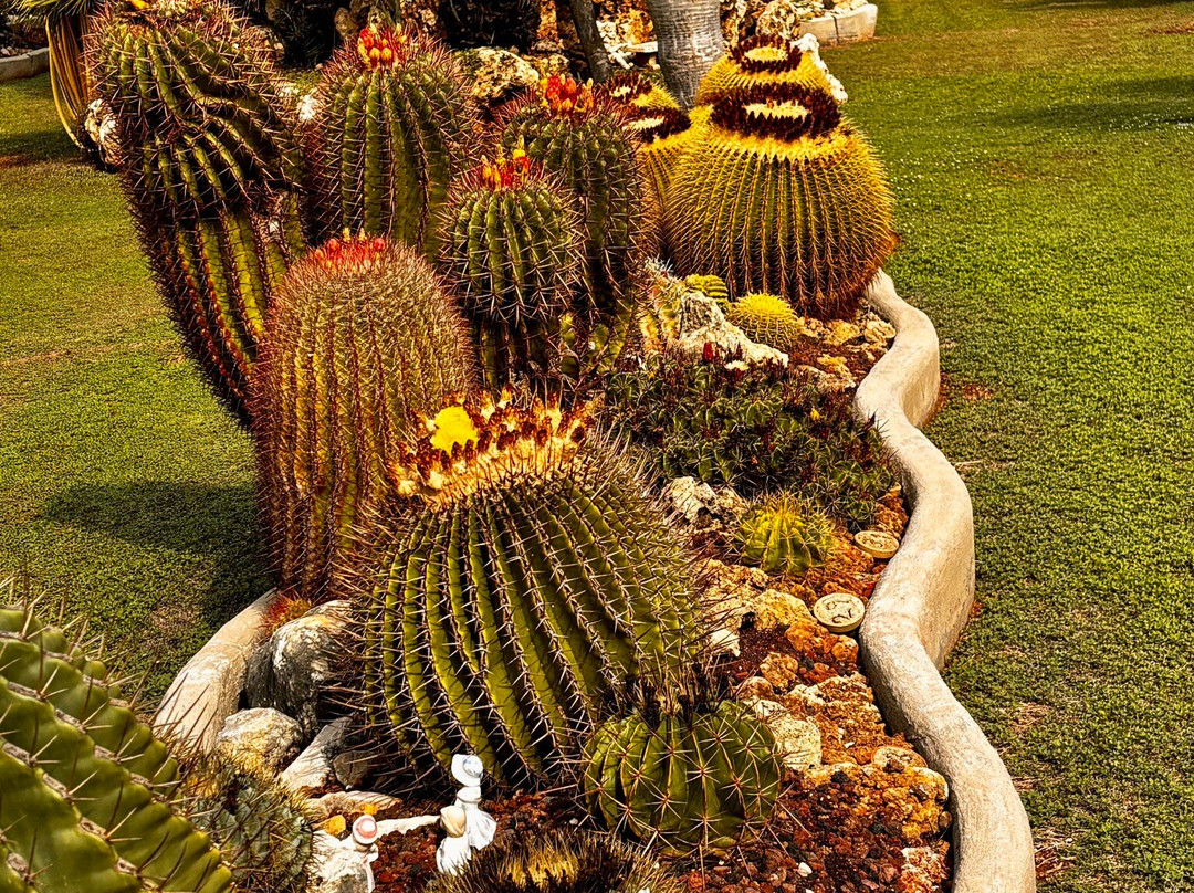 El Sueño (The Dream) Botanical Garden景点图片