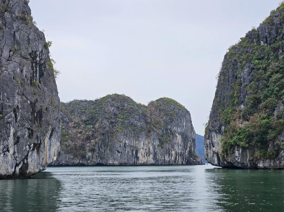 Cat Ba Local-Cat Ba Town必去景点