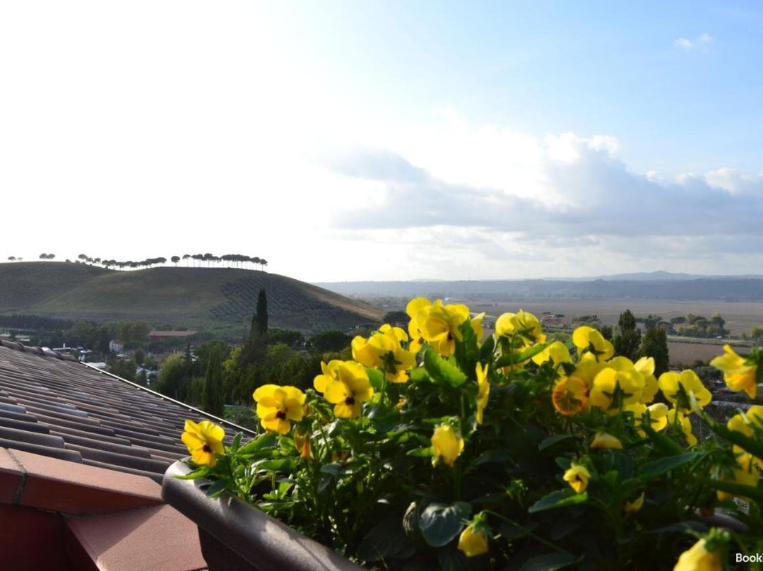 Sunny Hill's Home主图