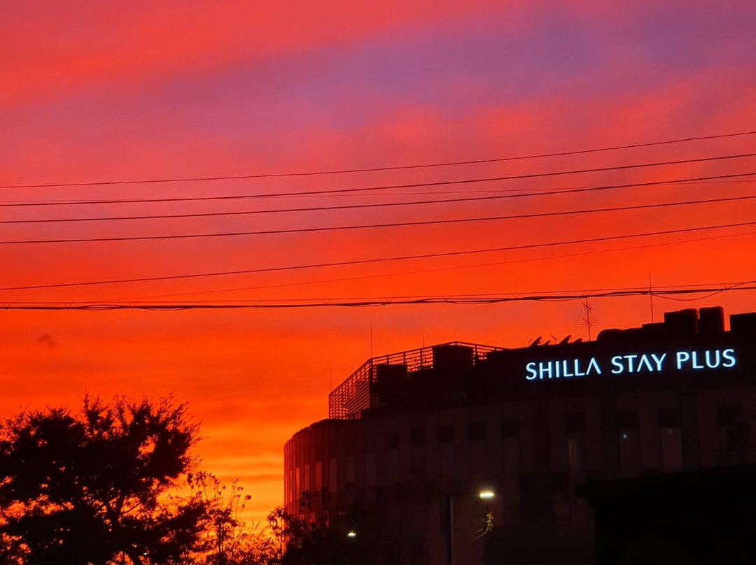 Shilla Stay Plus Ihotewoo主图