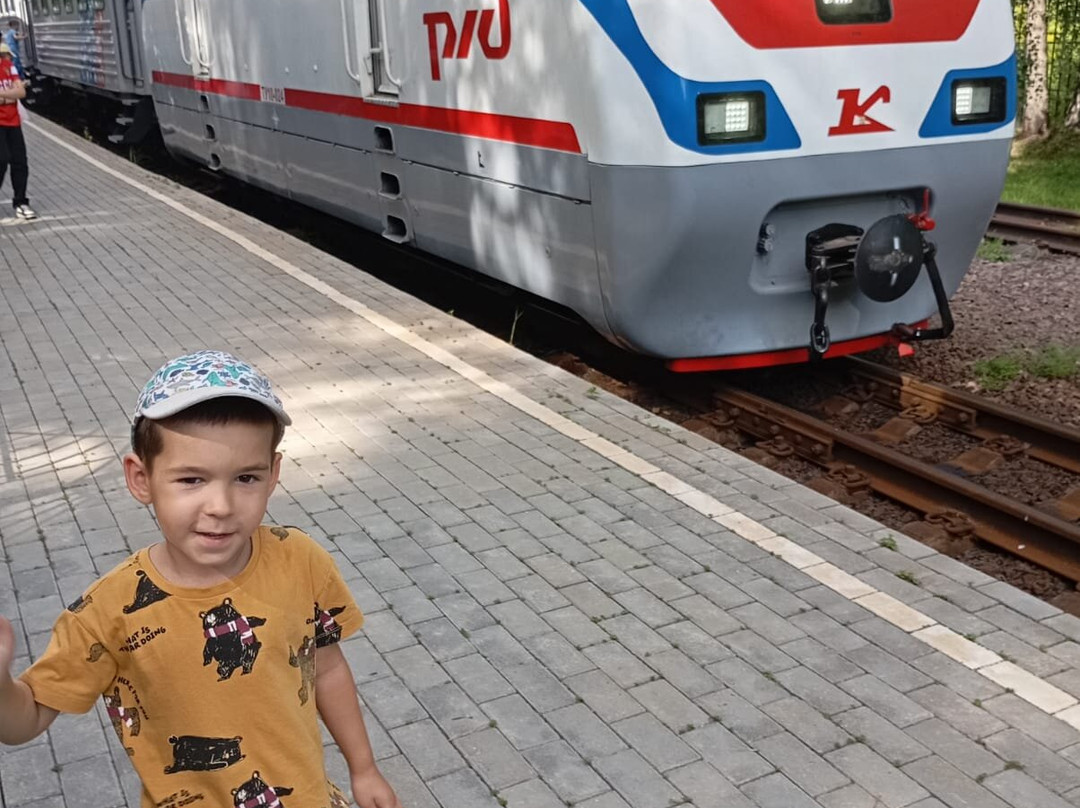 Yaroslavskaya Detskaya Zheleznaya Doroga景点图片