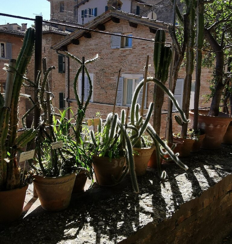 Orto Botanico Dell'Università di Urbino Carlo Bo景点图片
