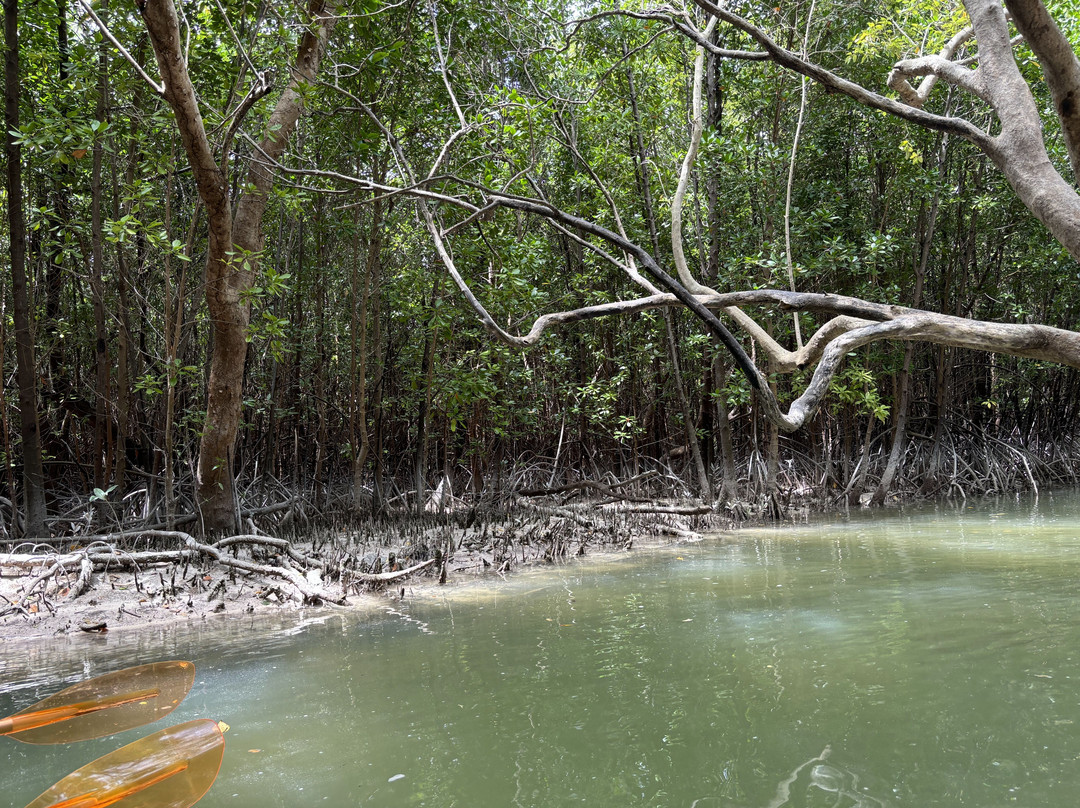 Kae Best Kayaks-米查维必去景点