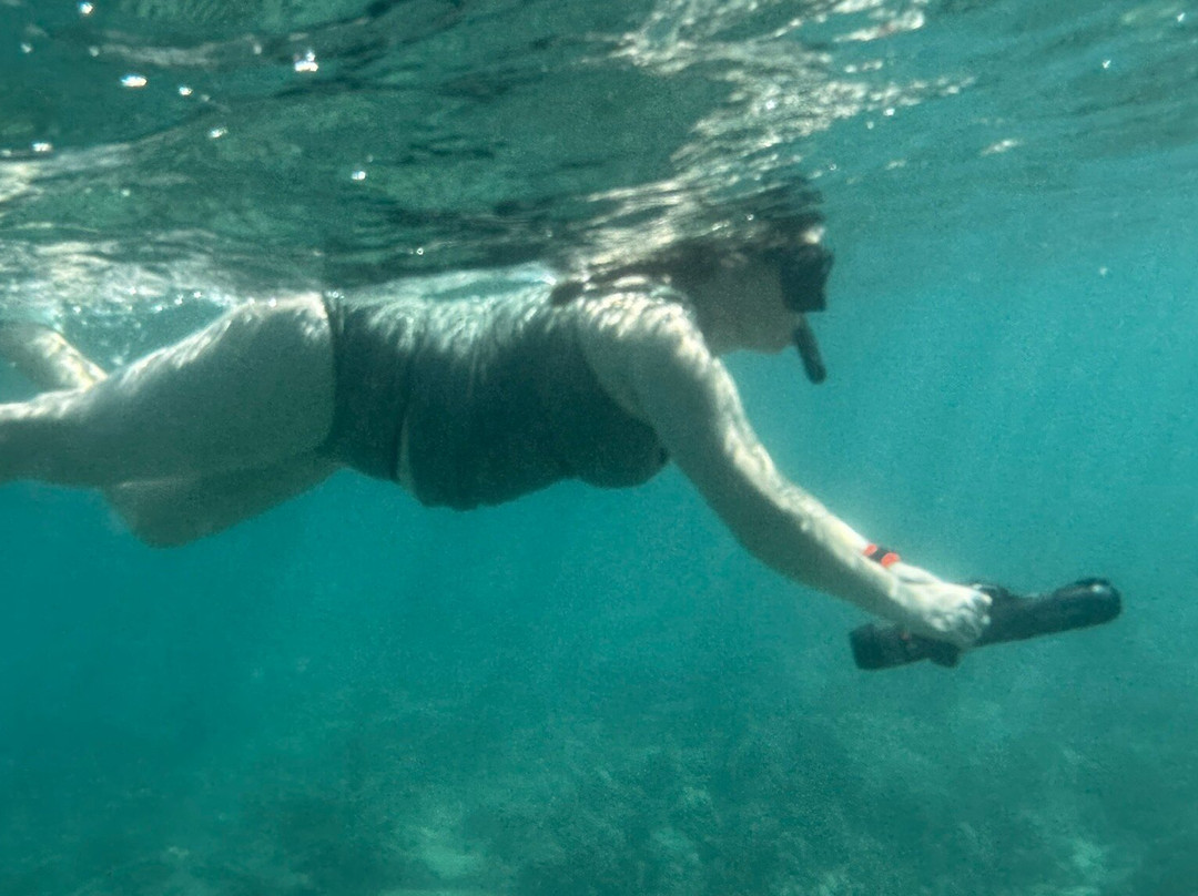 Ocean Thrills-威可洛亚必去景点