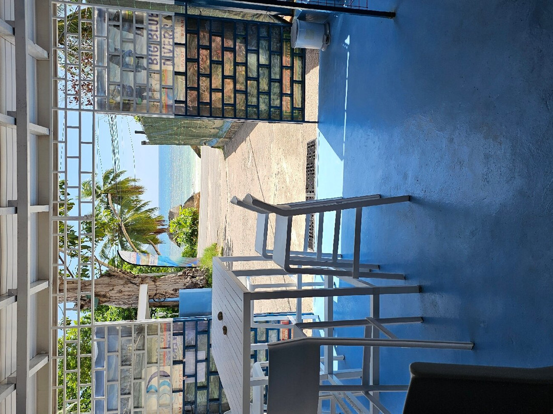 Big Blue Divers景点图片